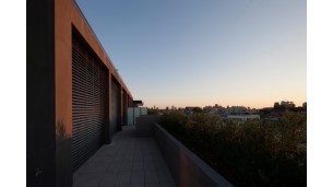 80MM - case history 2